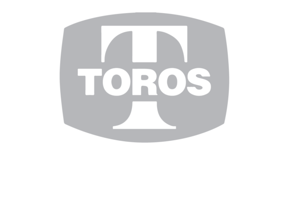 tayseb