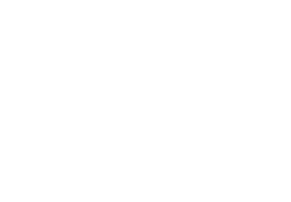 güney çelik