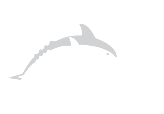 sasu