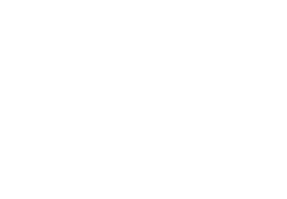 süvari