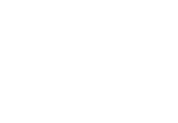 berdan
